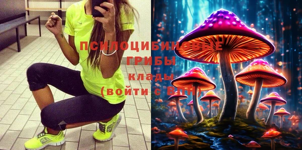 гидра Абдулино