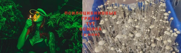 гашиш Абаза